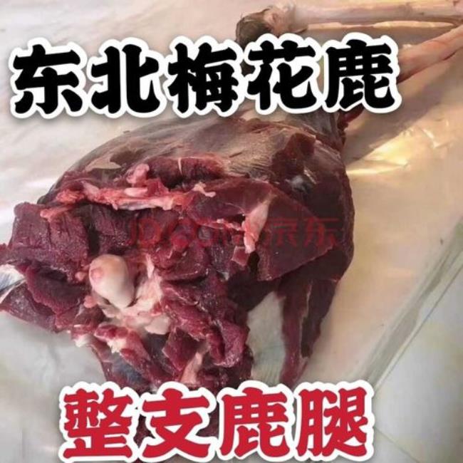 梅花鹿哪个地方的肉最好