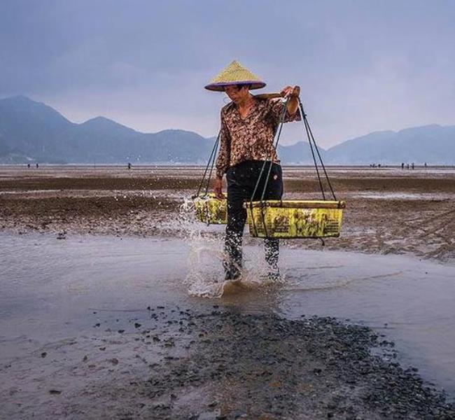 小明赶海是真的吗