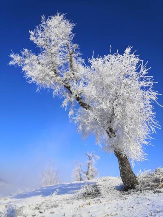 冰雪的丰富含义