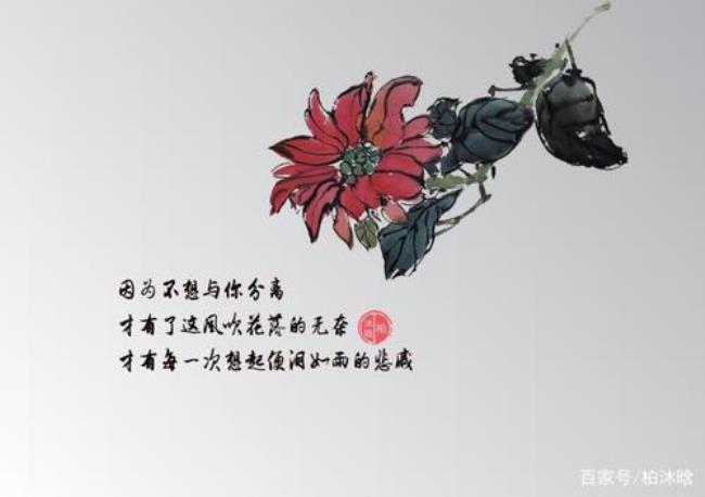 愿余生不后悔什么意思