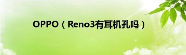 opporeno6耳机是圆孔还是type-c