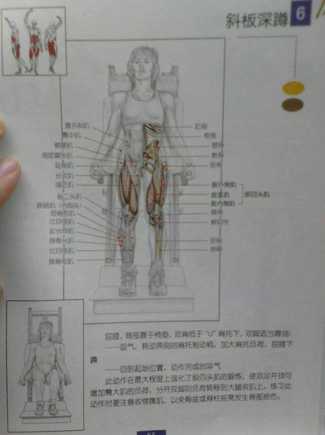 大腿肉跳动是怎么了