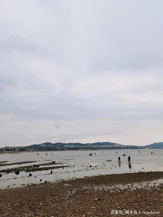 雨天赶海需要准备什么东西