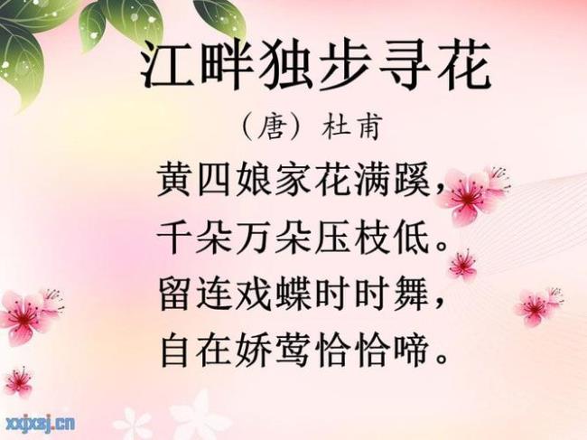 江畔独步寻花中什么什么