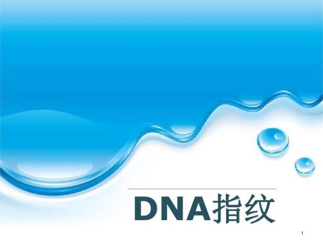 dna指纹用什么方法检测