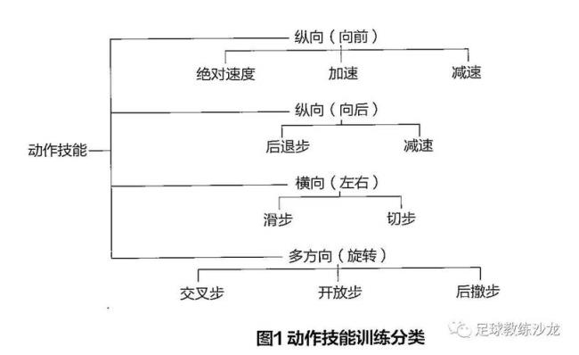 运动技能有哪些