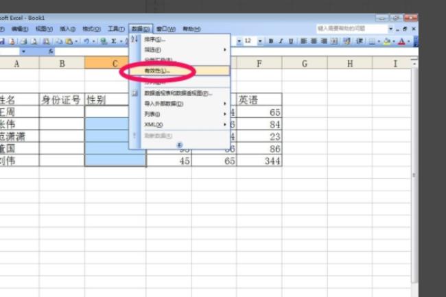excel里数据有效性的功能