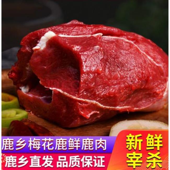 鹿肉只有东北吃吗