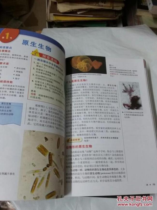 动物细胞科学书