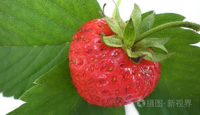 strawberry的复数形式