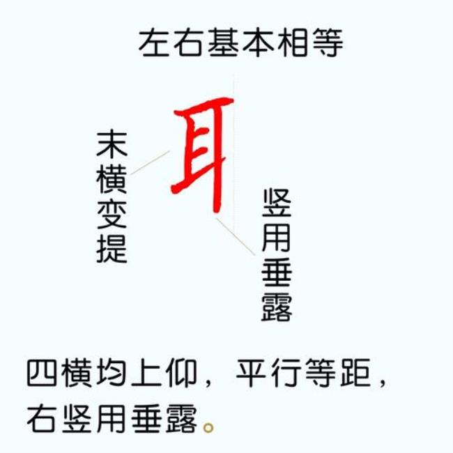 耳朵旁字有什么字