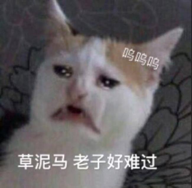 猫咪发出低沉的呜呜声什么意思