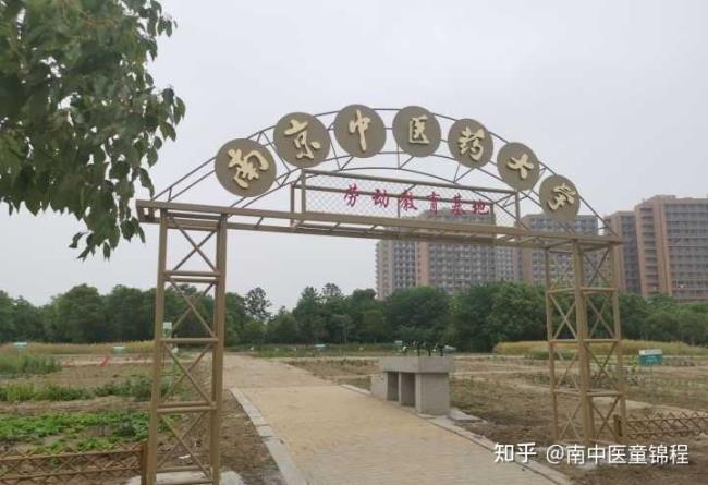 南京中医药大学怎么样