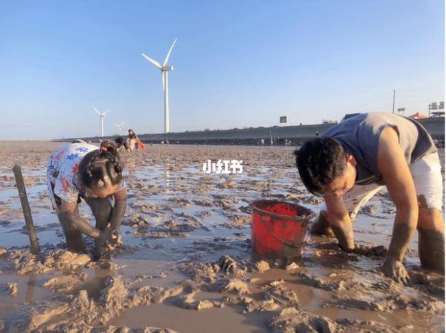 雨后赶海好吗