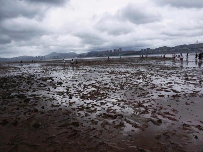 惠州赶海最佳地点和时间