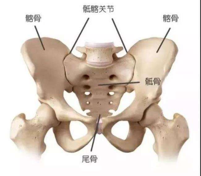 盆骨酸痛是什么原因