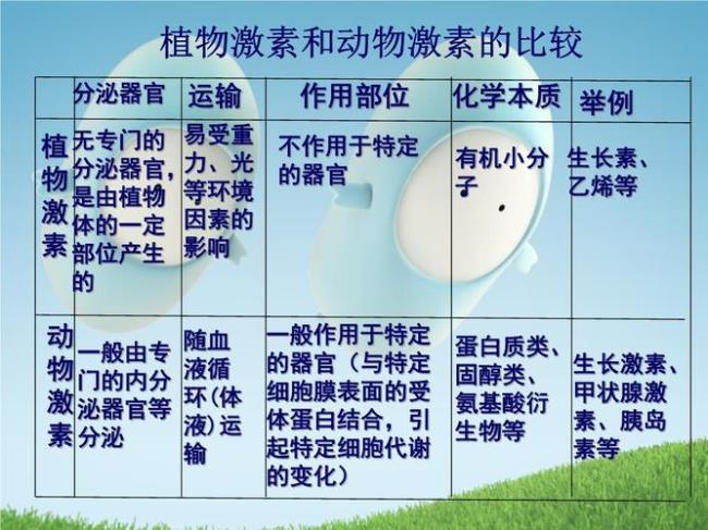 受体化学本质有什么