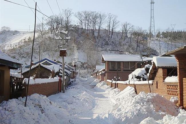 下雪放羊顺口溜