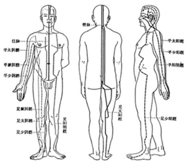 十二经脉流注次序是怎样的