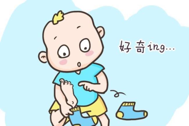 幼儿可以评为什么宝宝