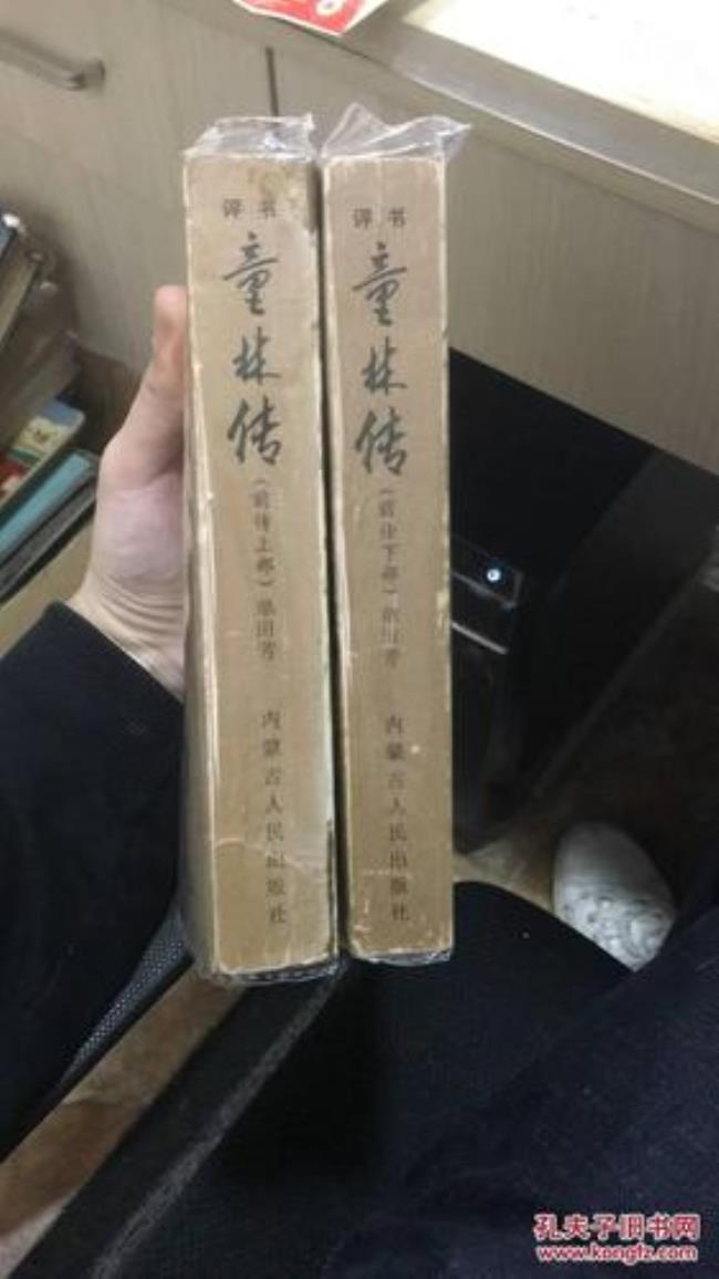 《童林传》下部是什么