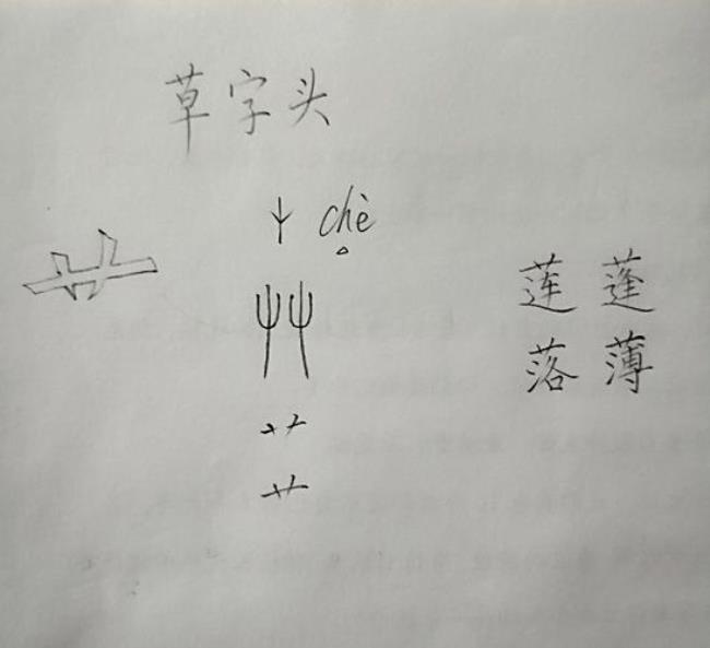 草字头加若是什么字