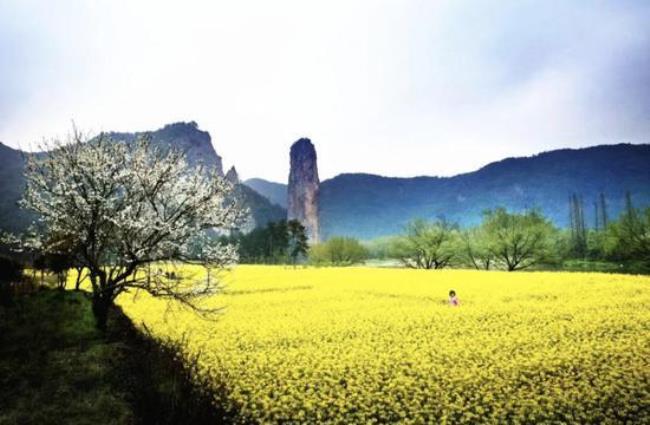 丽水附近的旅游景点