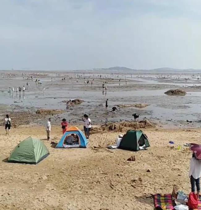 崂山会场赶海什么时间退大潮