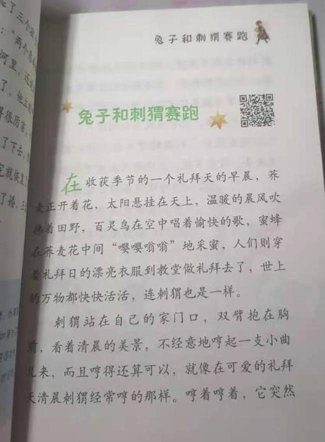 黄雀和刺猬的读后感怎么写