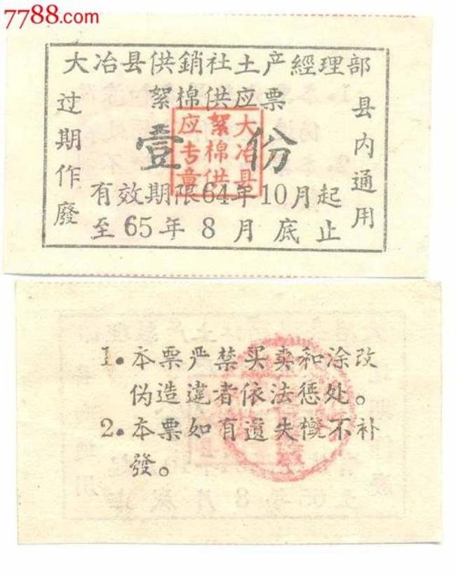 1964年和1965年属什么