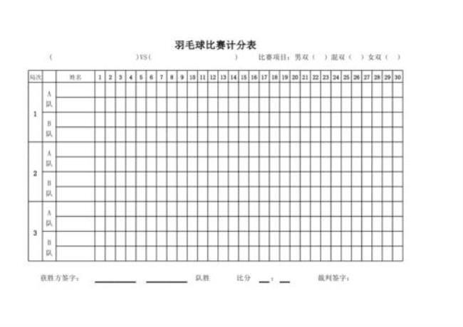 羽毛球球号分类