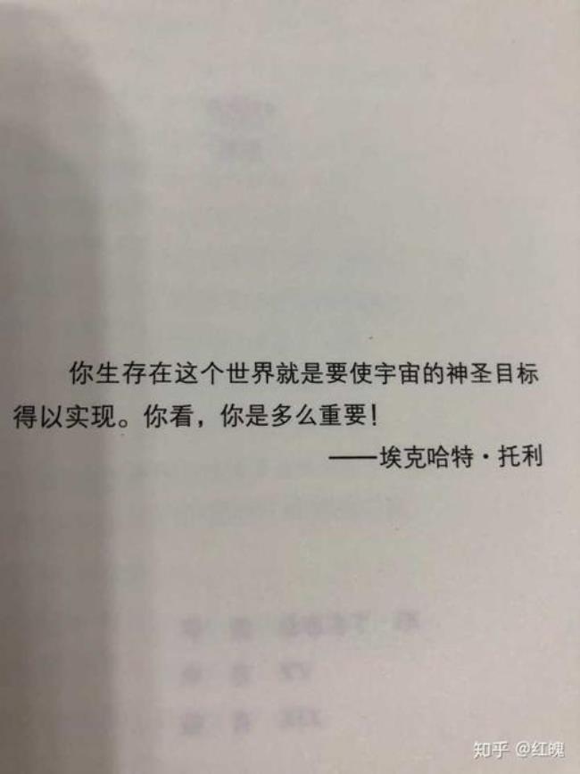 如果世界是虚拟的如何过完一生