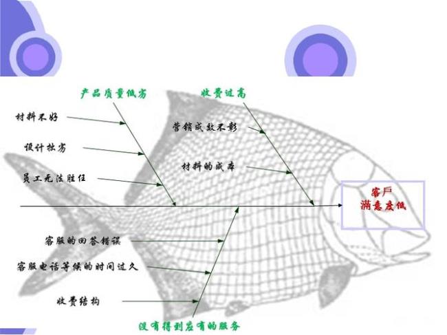 鱼骨头是什么意思