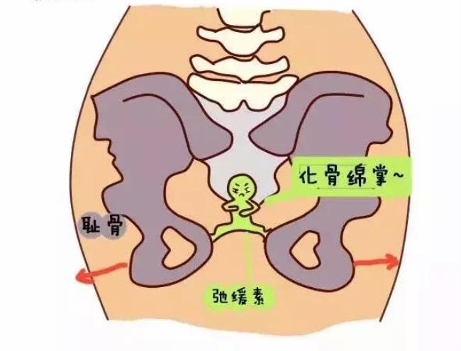 盆骨疼痛是怎么回事