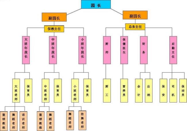 幼儿园组织结构特点