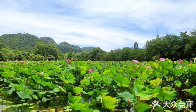 以夏天风景为主题的名字