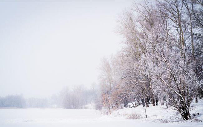 雪落无恨归了尘什么意思