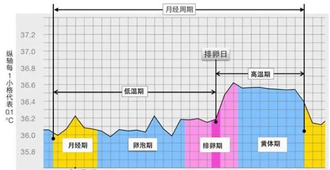 月经期怎么计算