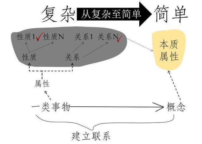 什么能够把握事物的本质和规律