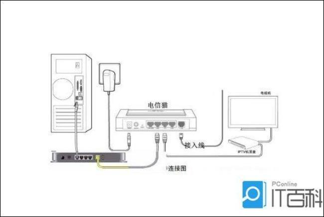 一个猫可以接几条线