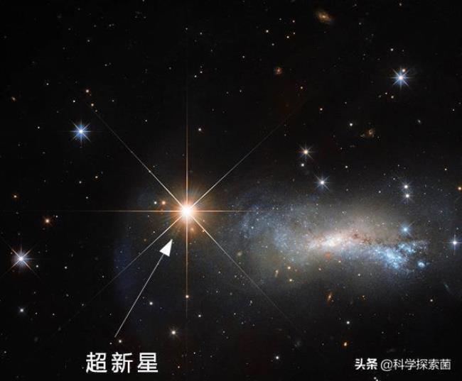 11颗星星的星语是什么越多越好