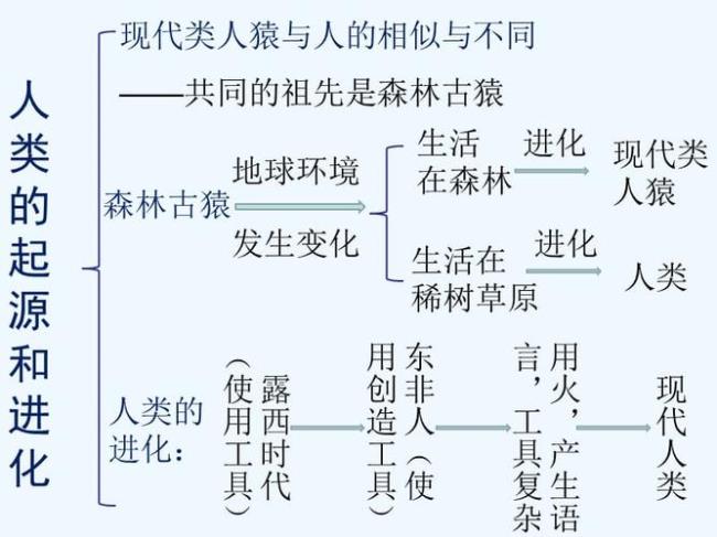 人类起源于哪里