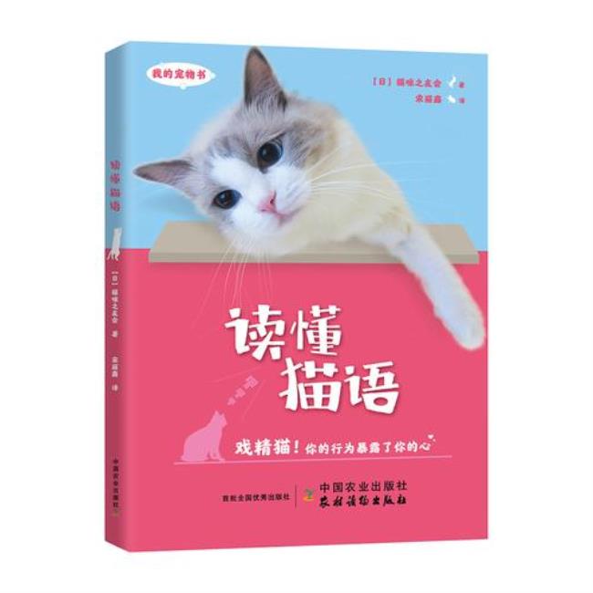 猫语言大全