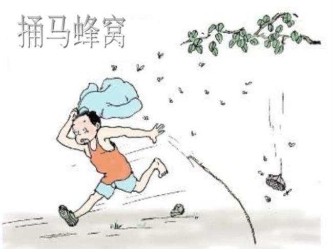 为什么不能捅马蜂窝