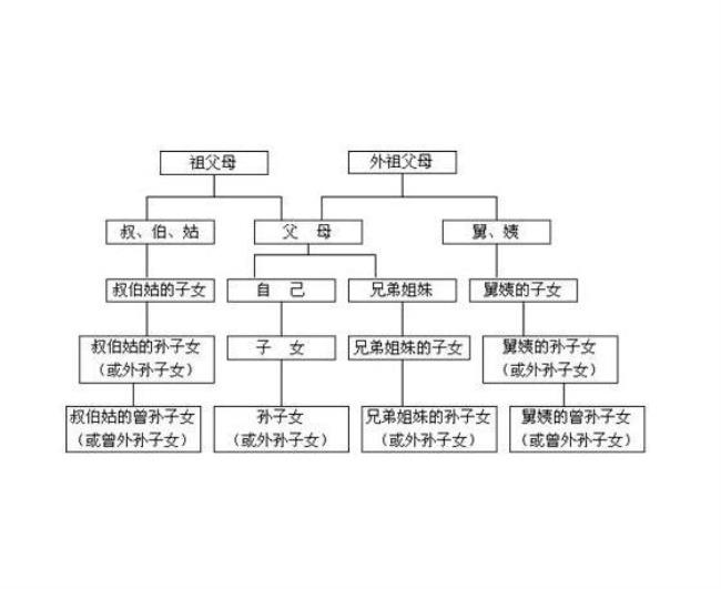 堂表姐妹算三代旁系血亲吗