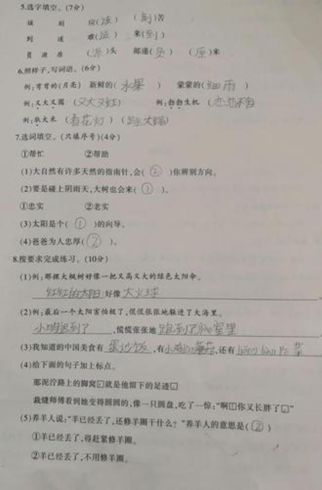 什么荒野填空一字