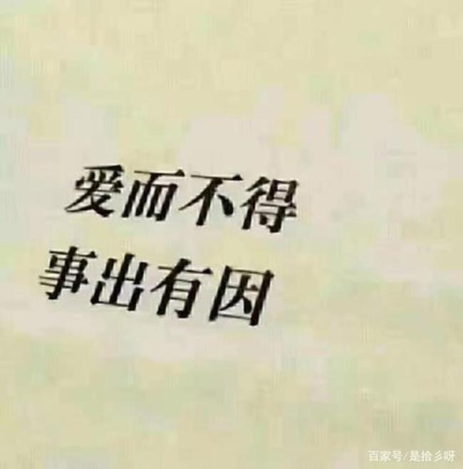 什么是爱的样子