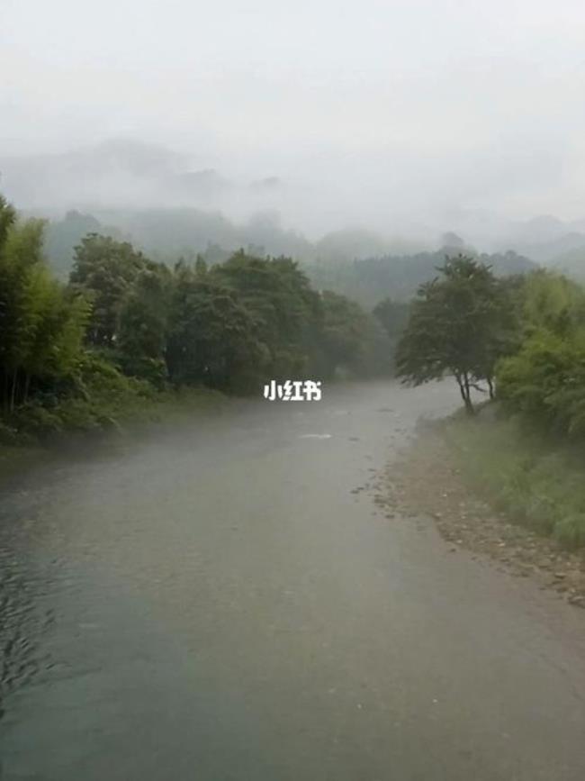 烟雨中是什么意思