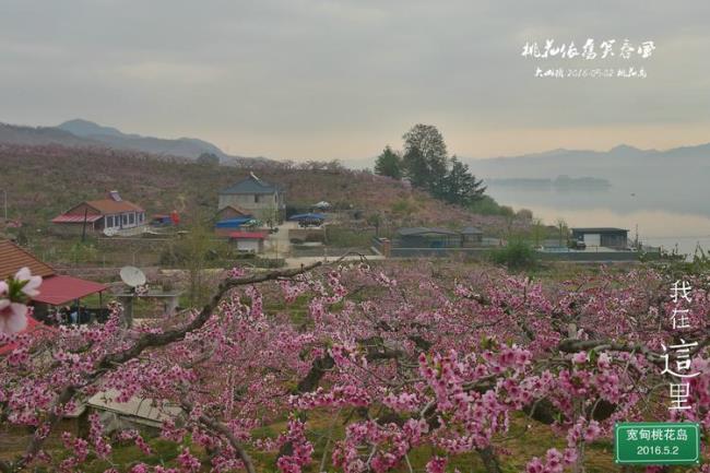 山东有鸭绿江和桃花岛吗