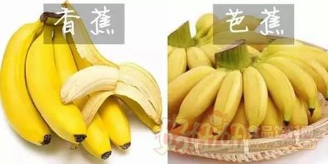 banana是什么